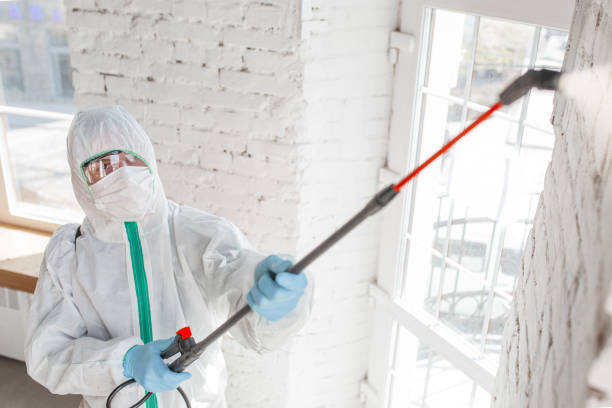 Best Water damage restoration mold remediation  in Southgate, KY