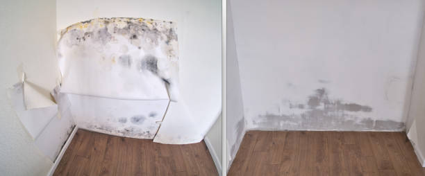 24/7 water damage repair in Southgate, KY